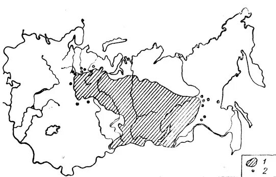 Лиственница сибирская ареал