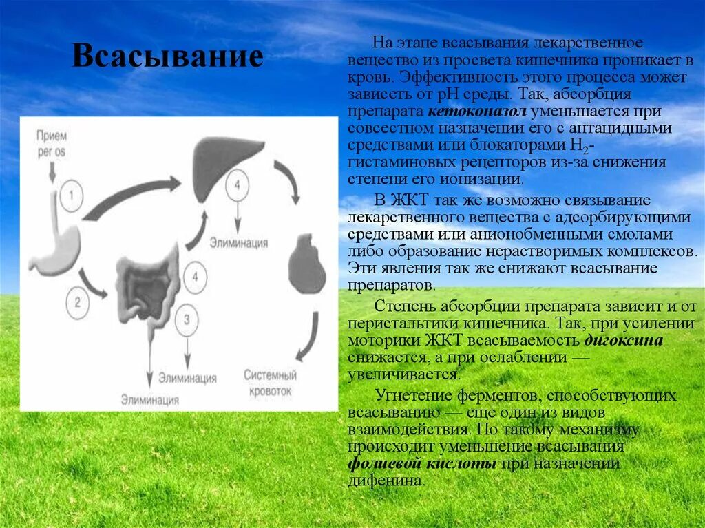 Всасывание лекарственных. Всасывание лекарственных веществ в кишечнике. этапы всасывание веществ. всасывание лекарственного вещества зависит от. всасывание лекарственных веществ из жкт.