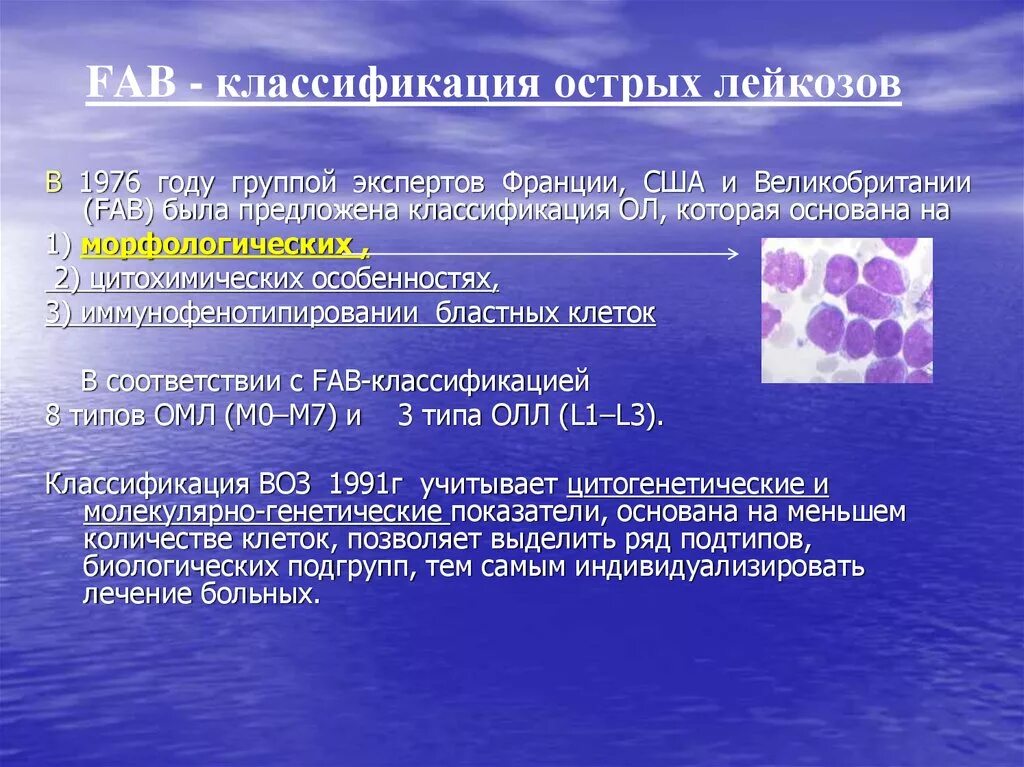 Острый лейкоз тест с ответами. Лейкоз. Классификация. Острые лейкозы. Фаб классификация острых лейкозов. Классификация острых лейкозов. Fab классификация лейкозов.