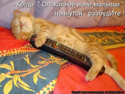 Повеселей поспокойней