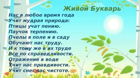 Нас в любое время года учит