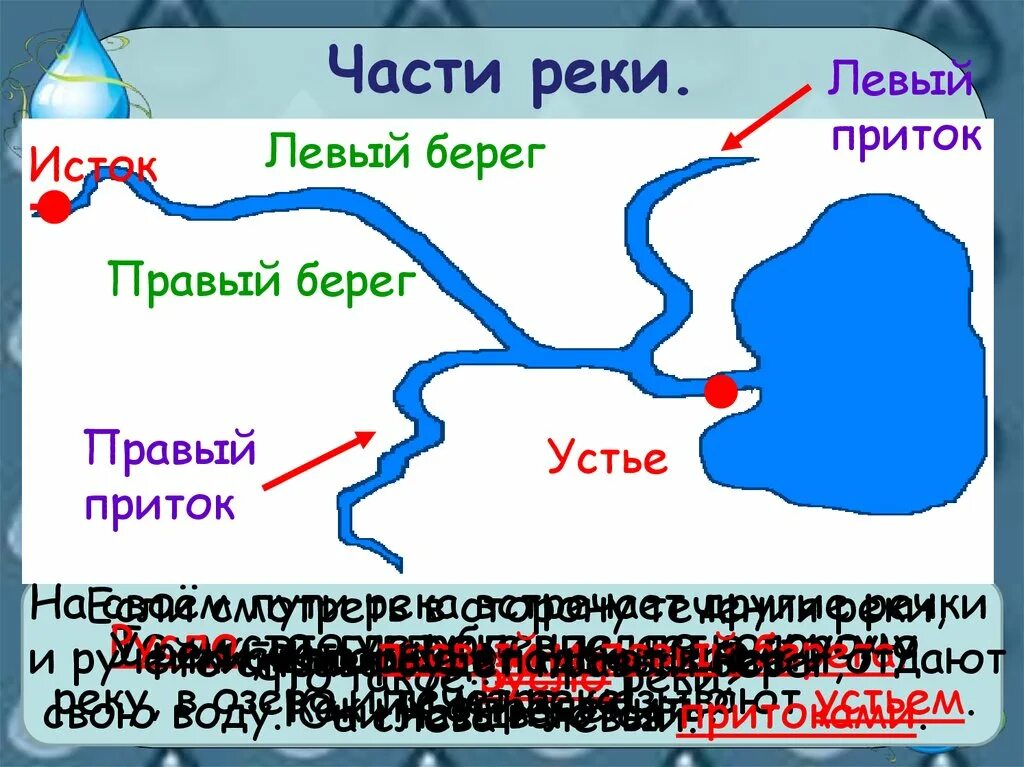 Истоки реки Устье реки правый берег левый берег. Что такое Устье реки и Исток и русло и приток. : Исток реки, русло, Устье, приток, левый берег, правый берег.. Исток реки Устье реки правый приток левый приток. Как определить какой берег реки правый