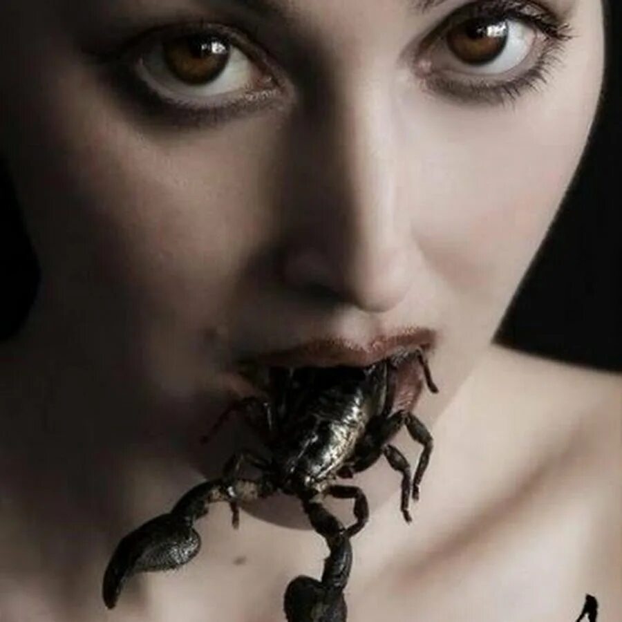 Женщина скорпион в жизни мужчины. Красивая девушка Скорпион. Фотосессия со скорпионом. Взгляд скорпиона. Взгляд скорпиона женщины.