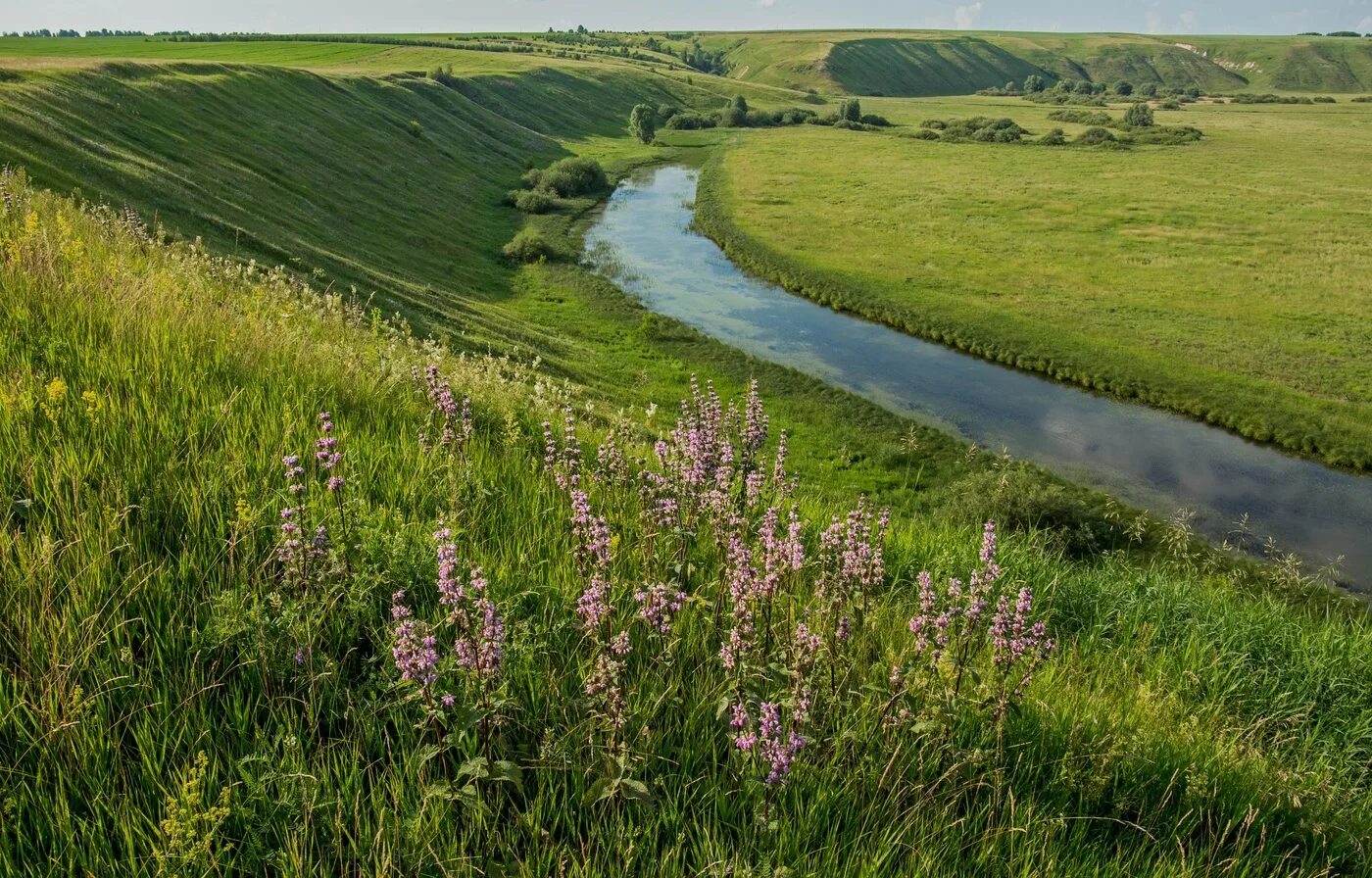 Каким будет лето татарстане. Луга Татарстана. Пойменные Луга Татарстана. Татарстан лес речка. Старица холмы.