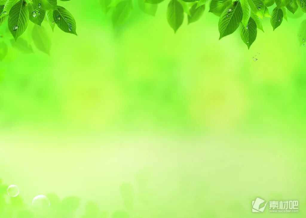 Фон для баннера. Фон для презентации экология. Зеленые листочки. Фон для презентации по экологии. Фон зеленый эко.