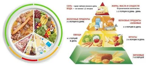 2 3 порций в день