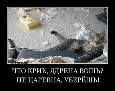 Ядрена вошь