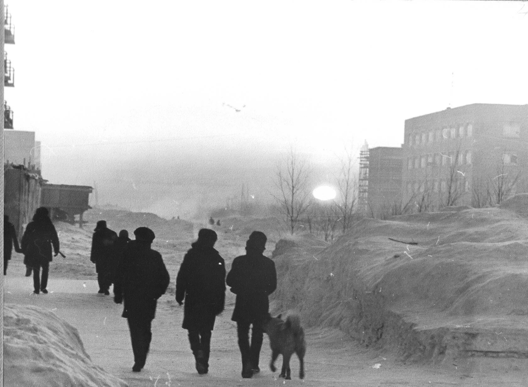 Типичная инта анонимная. Новости инты. Скачай типичную инту. Инта 1990. Инта 2020.