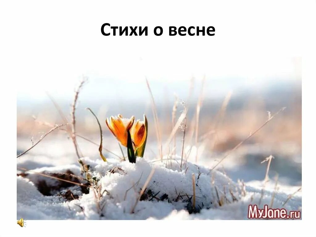 Хочу март. Приближение весны. Доброе утро скоро Вена