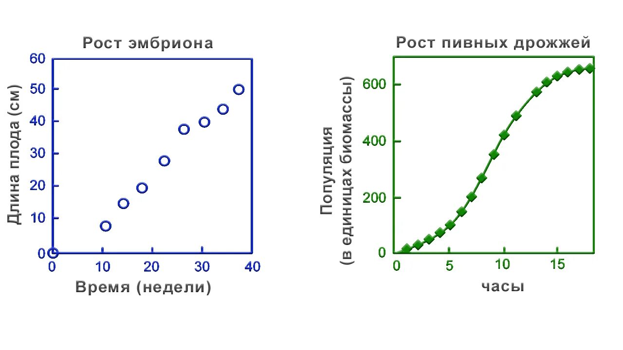 Взрослое время