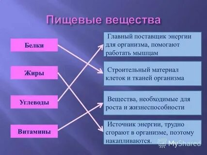 Основные источники питательных веществ