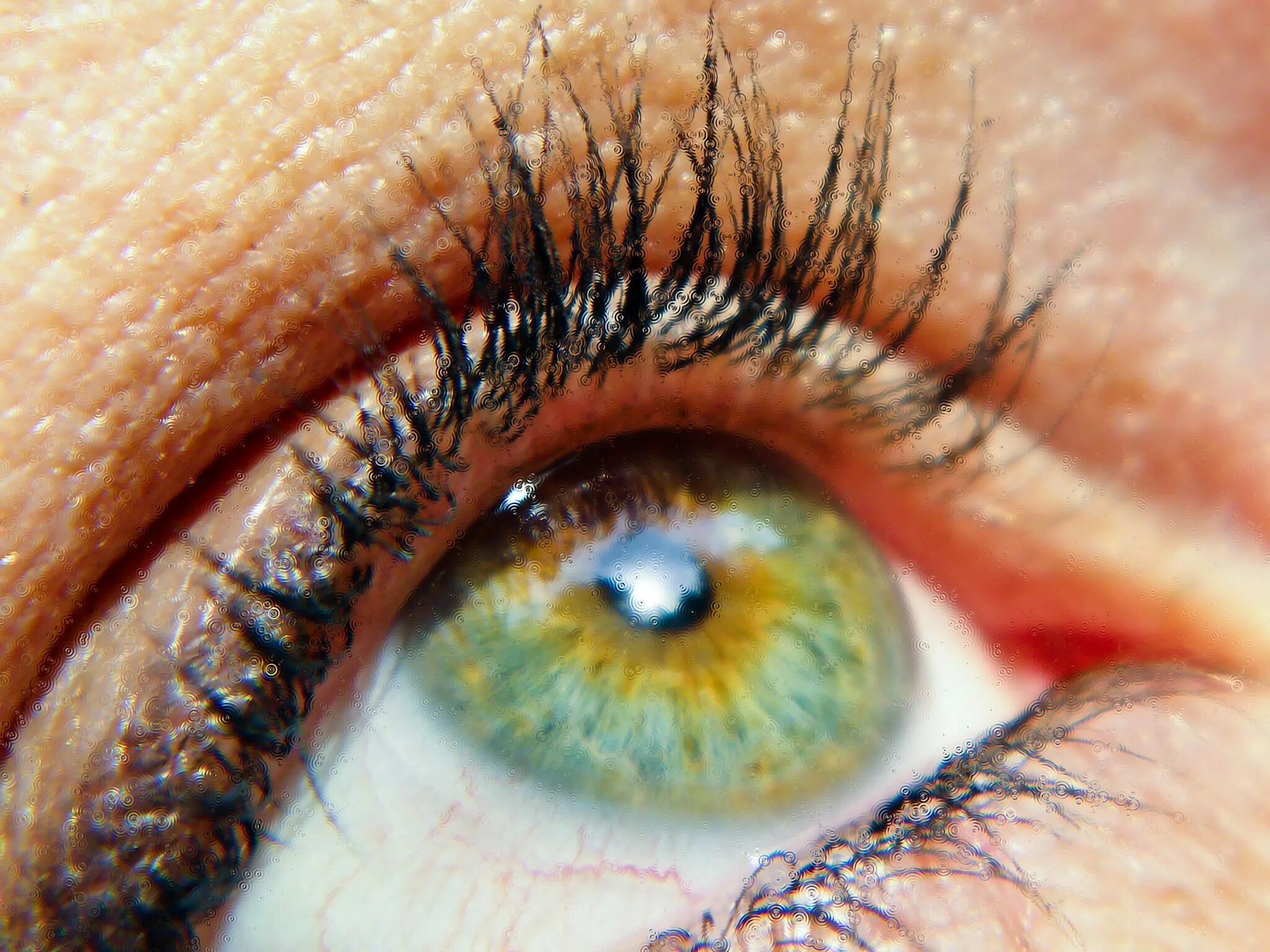 Сновидение глаза. Сновидение глаза. К чему снятся глаза. Лежит с открытыми глазами. Желто зеленые глаза.