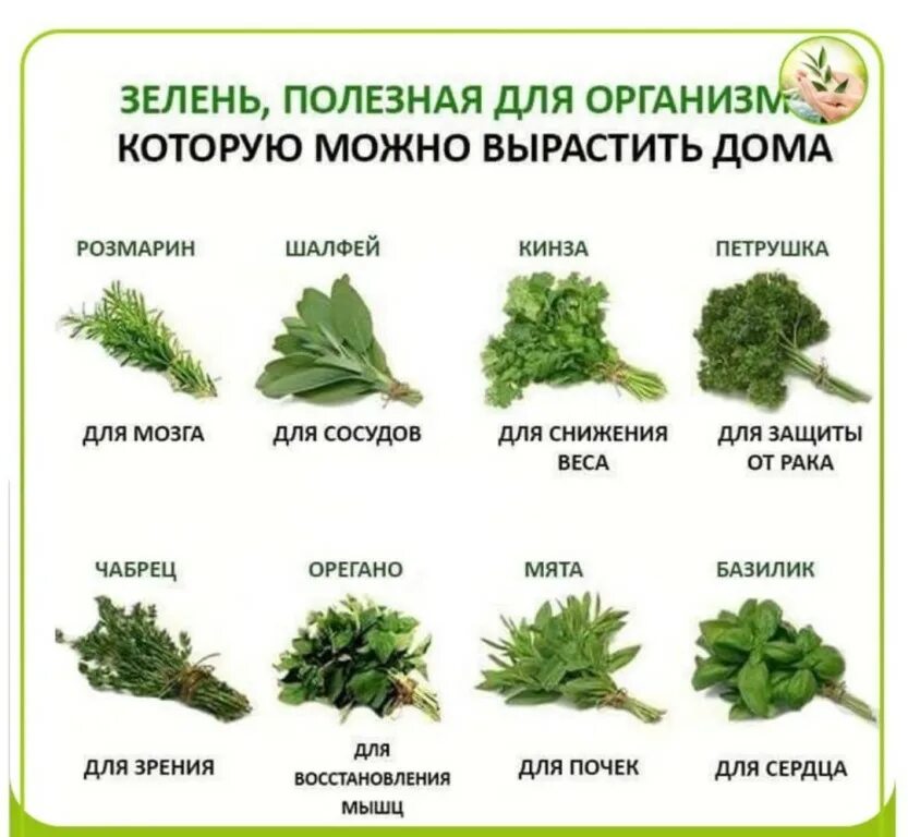 Сколько видов полезных