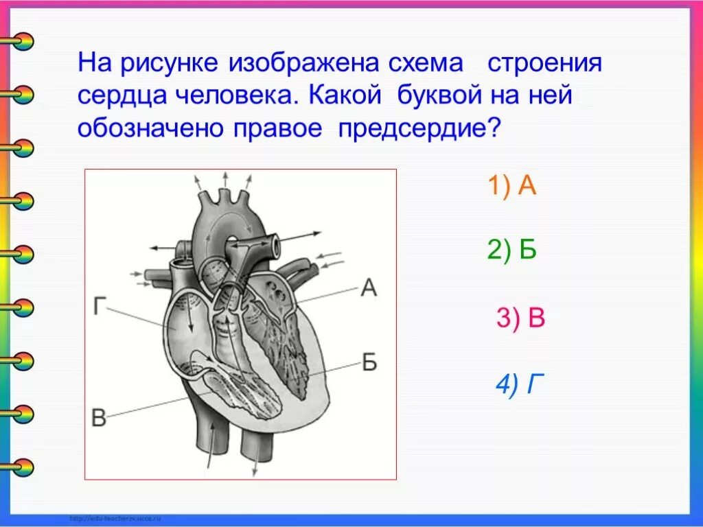 Обозначьте рисунок строение сердца. Сердце человека ЕГЭ по биологии. На рисунке изображены схемы сердца. На рисунке изображено строение сердца. Схема структуры строения сердца с цифрами.