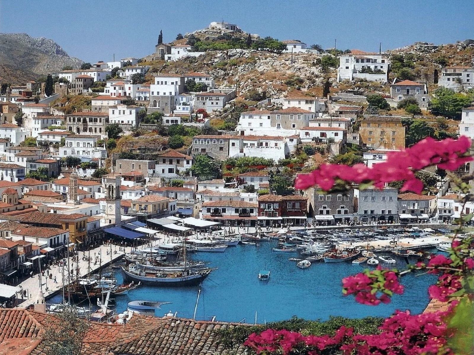 Светлоглазые греки. Город афины аттика. Греки мужчины. Пляж икария греция. Грек отзывы.