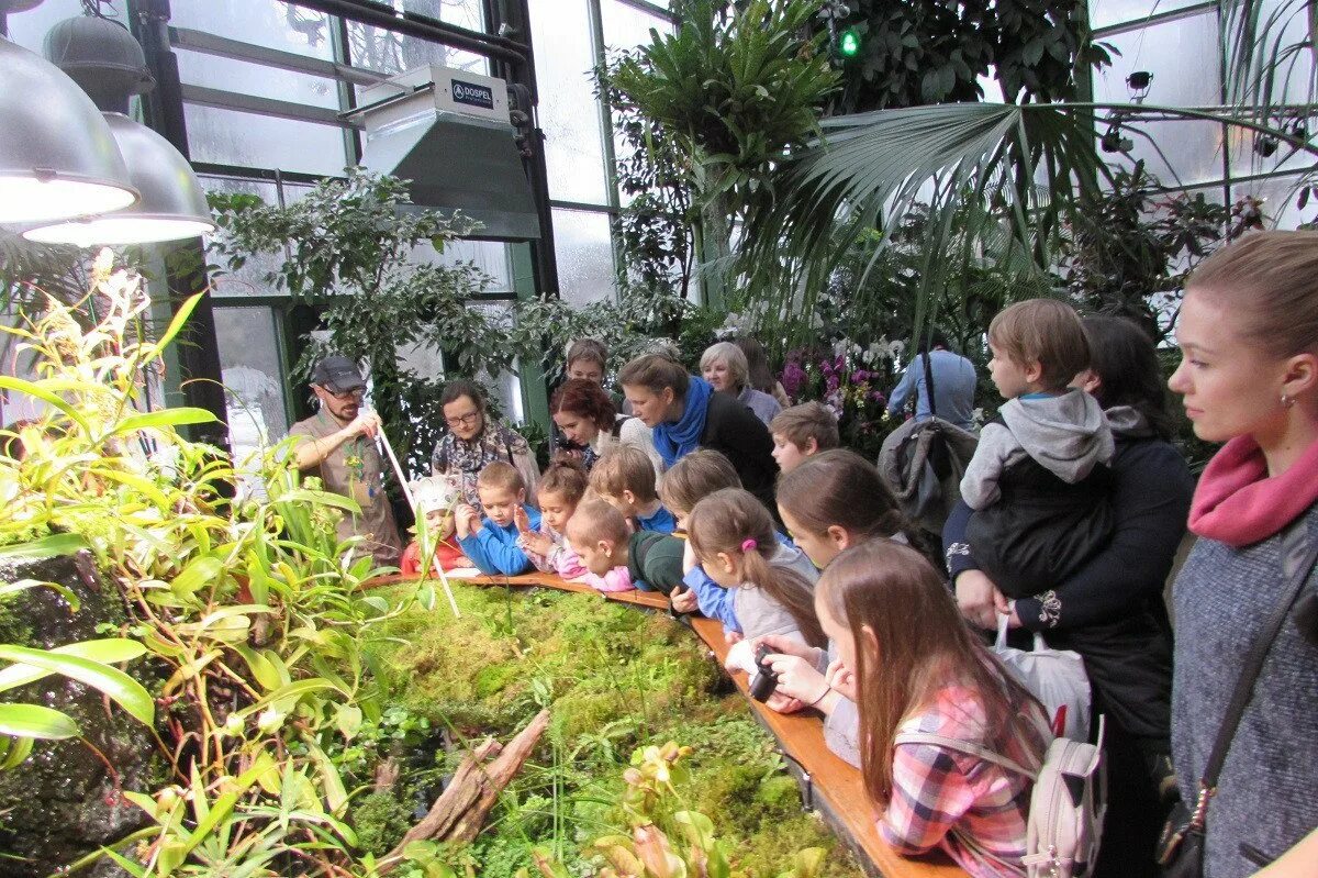 Ботанический сад биологического факультета мгу. Ломоносова м. Ботанический сад мгу воробьевы горы. Ботанический сад мордовского университета\. В.