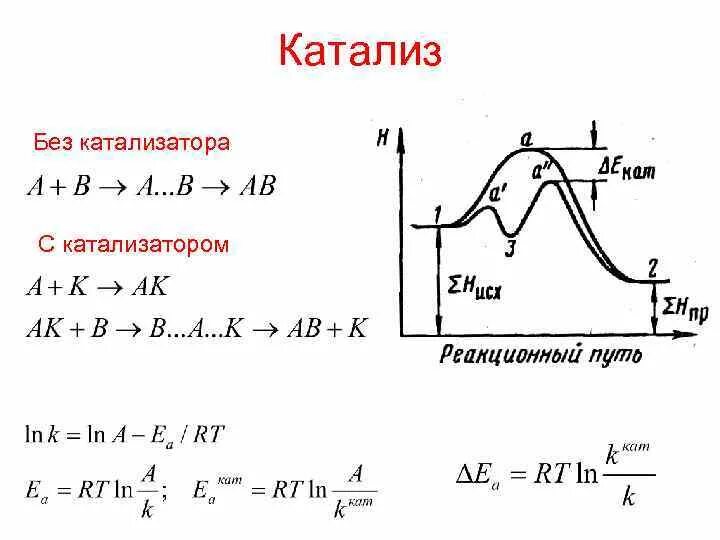 Какой катализ. Гомогенный катализ схема. Схема катализа. Катализ это в химии. Катализ виды катализа.