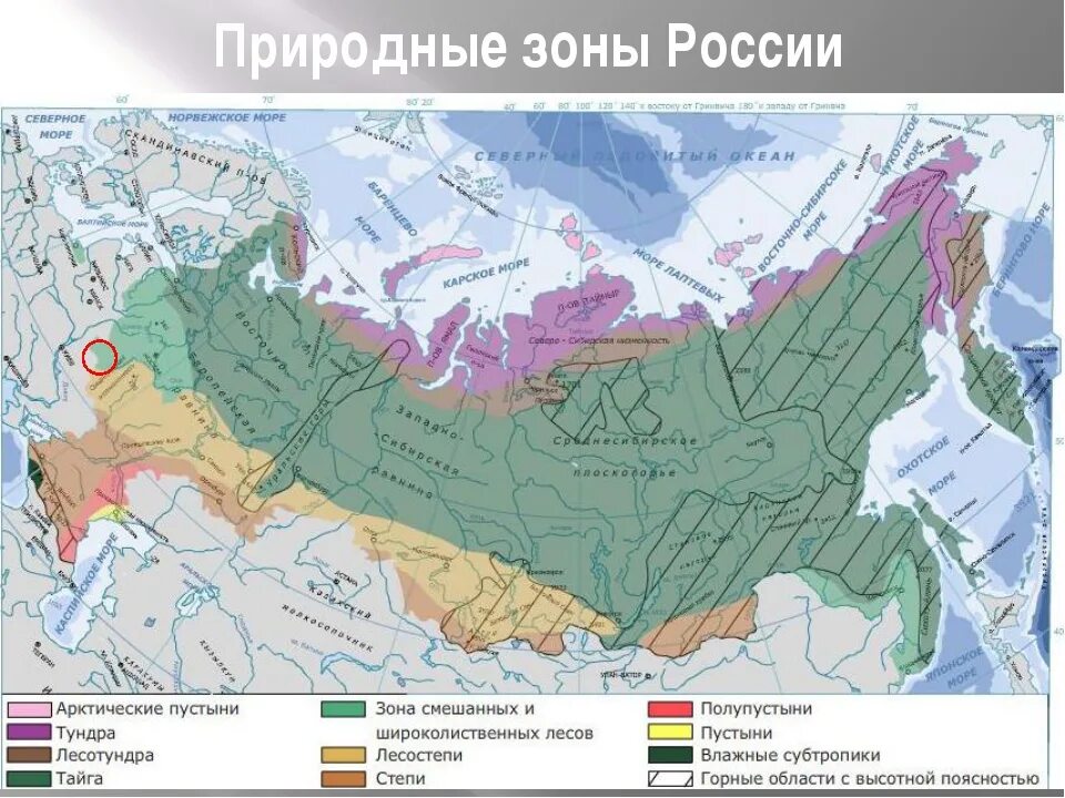 Географическая карта России с природными зонами. Карта природных зон России 4 класс субтропики. Карта природных зон России 8кл. Карта климатических зон России тундра Тайга. Какие природные зоны находятся на территории