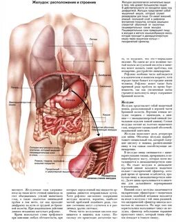 Какой находится