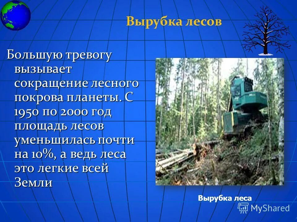 Огромная тревога. Сокращение лесного Покрова. Пути решения вырубки лесов. Пути решения проблемы вырубки лесов. Из за чего на земле становится меньше лесов.