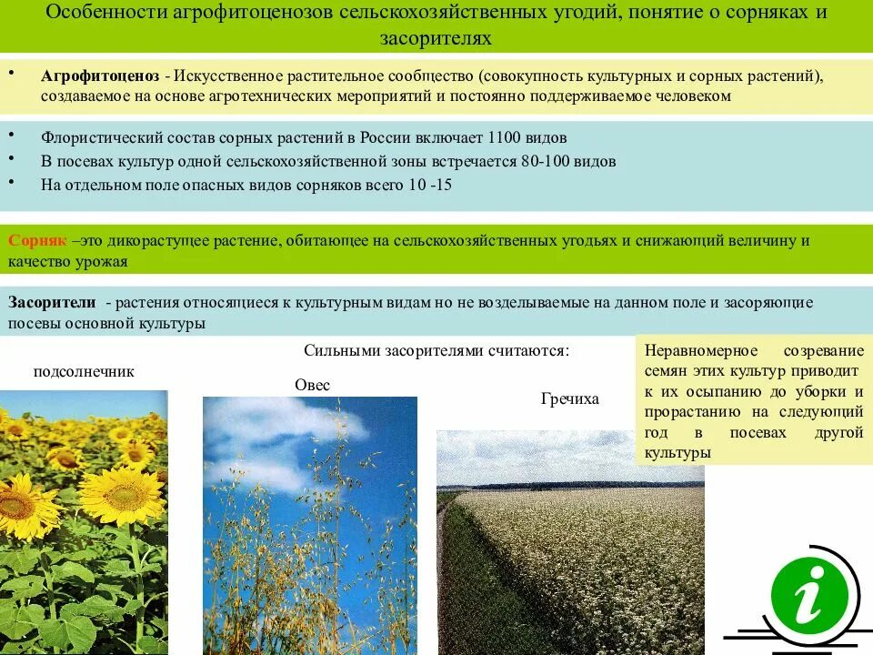 Особенности сельскохозяйственных угодий. Культурные растения сельскохозяйственных угодий. Структура агрофитоценоза. Понятие о сорняках.