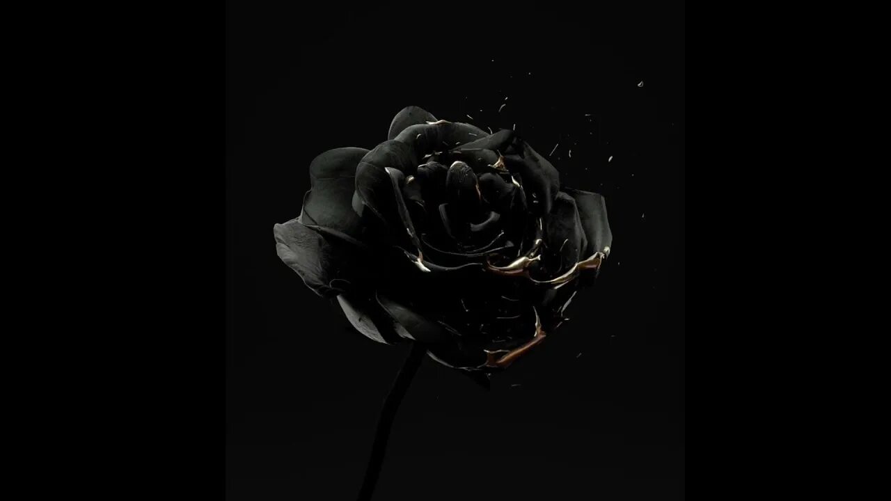 Black status. Black status