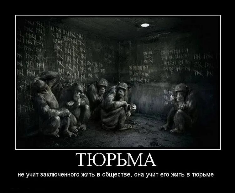 Цитата осужденных