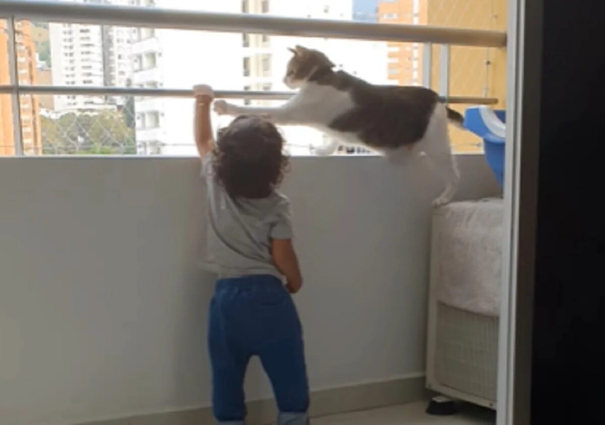 Кот на балконе. Кот нянька на балконе. Ребенок на балконе. Кошачий балкон.
