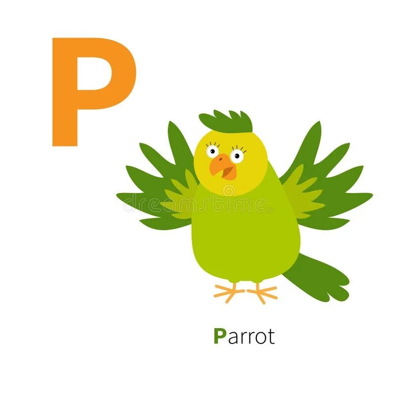 Карточки по английскому попугай. Попугаем по английскому. Попугай английскими буквами. Попугай с английской азбукой.