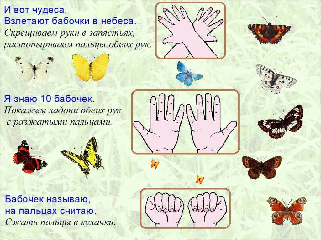 Сухомлинский кончики пальцев. Пальчиковая игра насекомые. Ум ребенка на кончиках его пальцев в и Сухомлинский. Пальчиковая игра бабочка. Пальчиковые игры по теме насекомые.