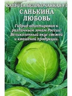 Капуста санькина любовь отзывы