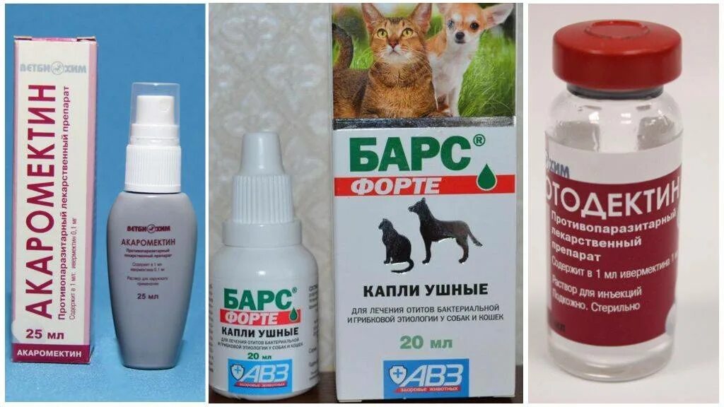 Лучшие капли от ушного клеща для кошек. Отодектин для кошек. препараты от ушного клеща. капли от ушного клеща для собак. средство от ушного клеща у кошек.