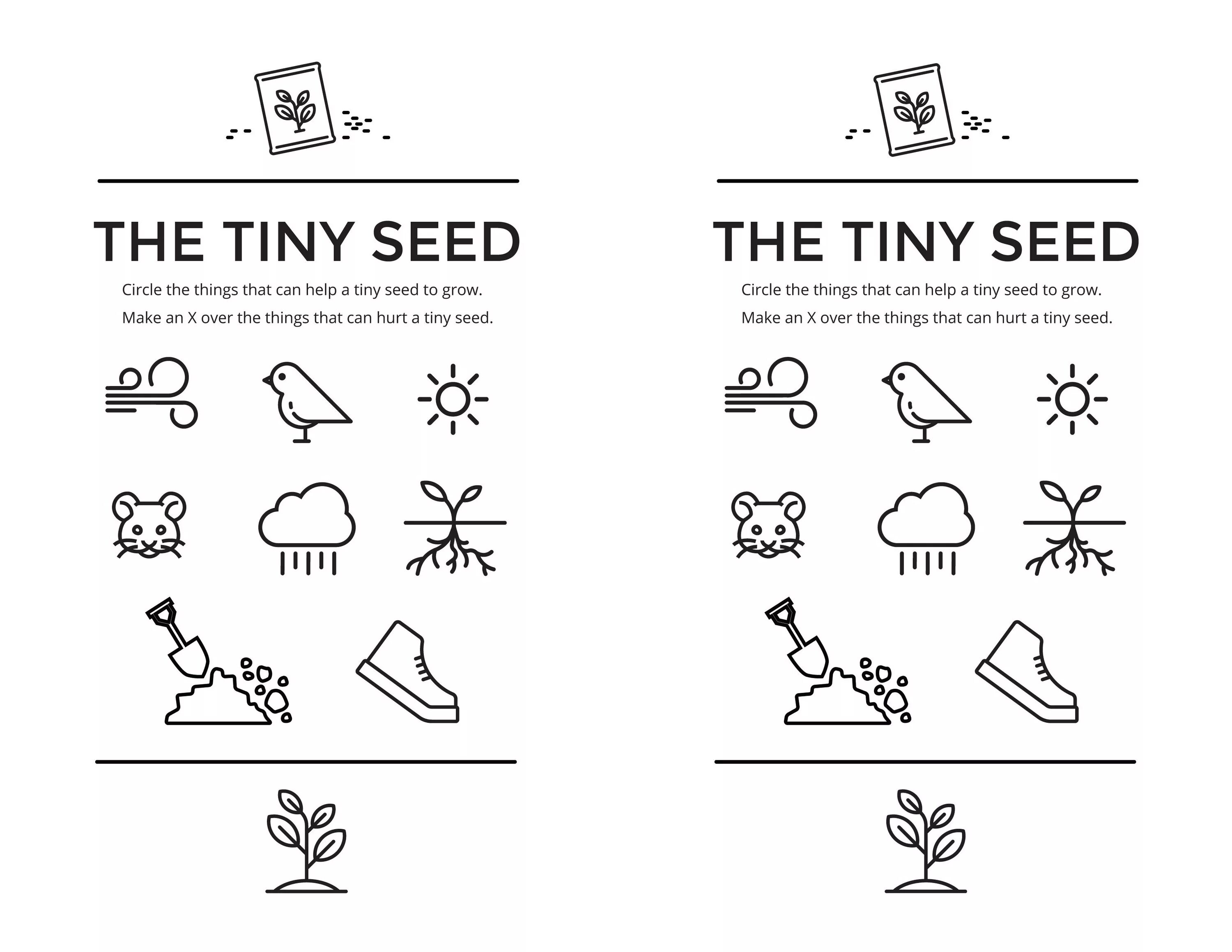 Тини перевод. The tiny Seed. The tiny Seed by Eric Carle. Tiny перевод. Shanghai tiny Seed Import.