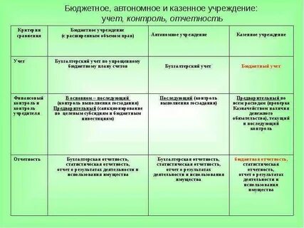 Бюджетные учреждения примеры организаций