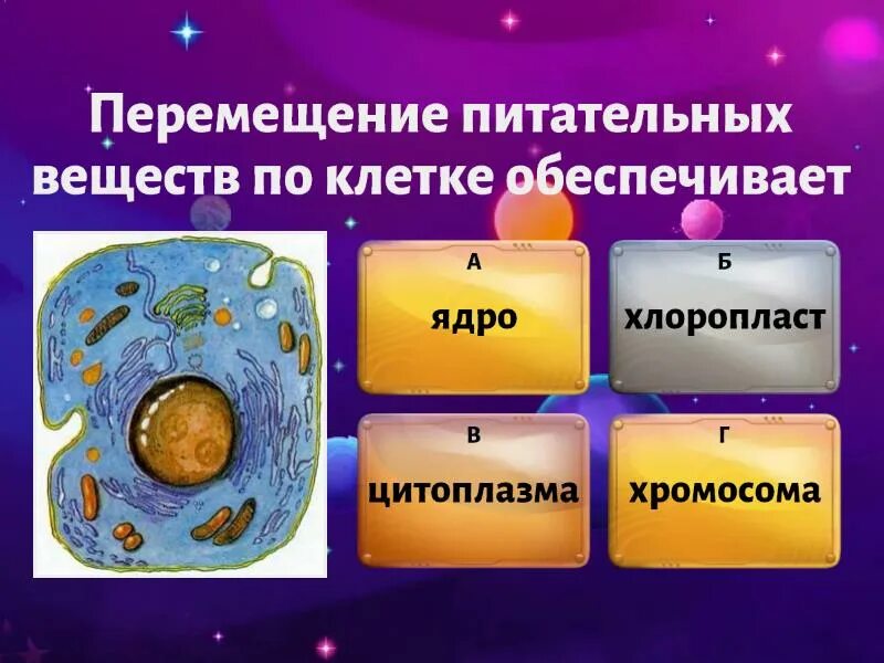 Передвижение веществ у животных. Транспорт веществ у растений. Передвижение веществ у растений. Обеспечивает передвижение веществ.