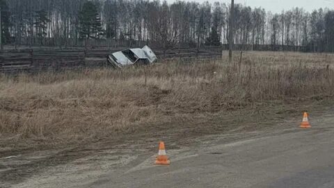 Погода навля брянская область на 3 дня