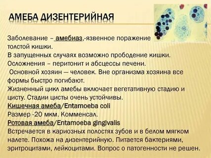 Дизентерийная амеба симптомы