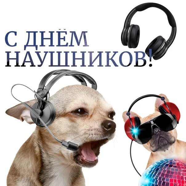 i?id=0bb9b3d0cf8991e8221e45241278b7cd_l-5294721-images-thumbs&n=13