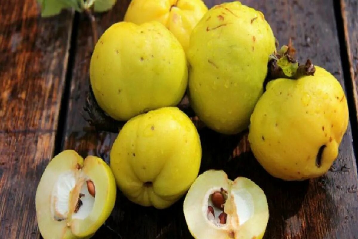 Айва цукаты. Лимонная айва хеномелес. Айва японская засахаренная. Японское яблоко айва. Айва китайская плоды.