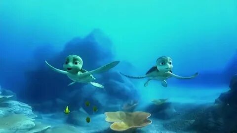 Turtle tale
