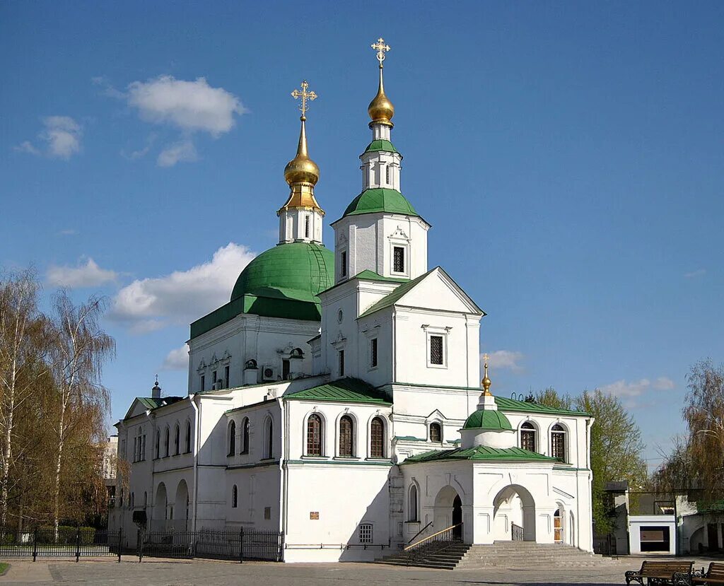 Когда деревья были большими.. Ауди Клуб Россия