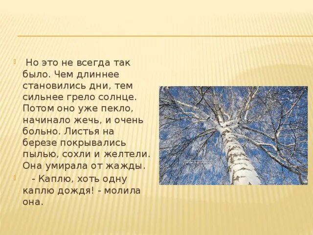 Главная мысль произведения береза. Н П Вагнер береза. Презентация н Вагнер "береза".. Произведения н.п. Вагнера «береза»?.