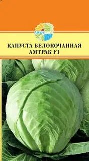 Капуста лежебока отзывы