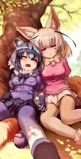 ,Common Raccoon (Kemono Friends),Kemono Friends,Anime,Аниме,фэндомы,Fennec ...