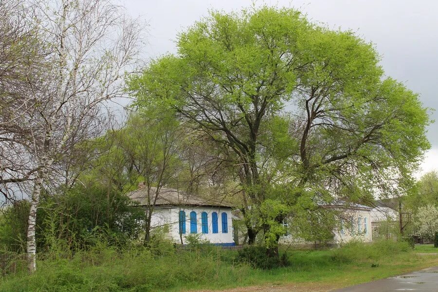 Староизобильный ставропольский край. Станица ставропольская краснодарский край. Станица ставропольская краснодарский край. Станица ставропольская отзывы. Станица ставропольская.