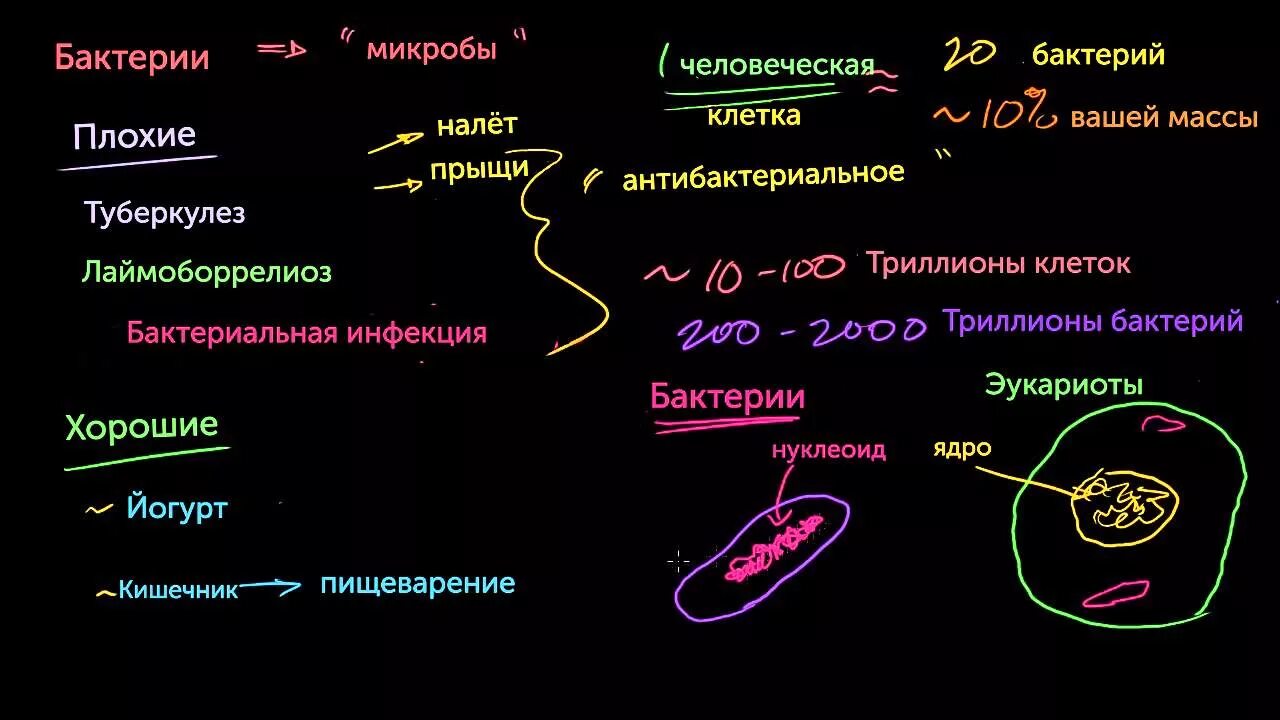 Плохие бактерии. Полезные и болезнетворные бактерии. Плохие бактерии хорошие бактерии. Бактерии под микроскопом. Бактерии в кишечнике человека для дошкольников.