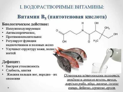 Витамин в5 роль