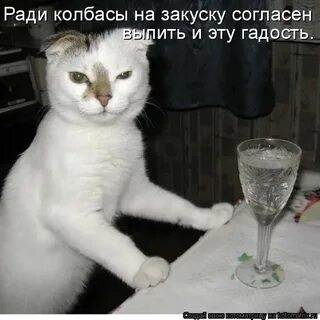 Ли я выпью что будет