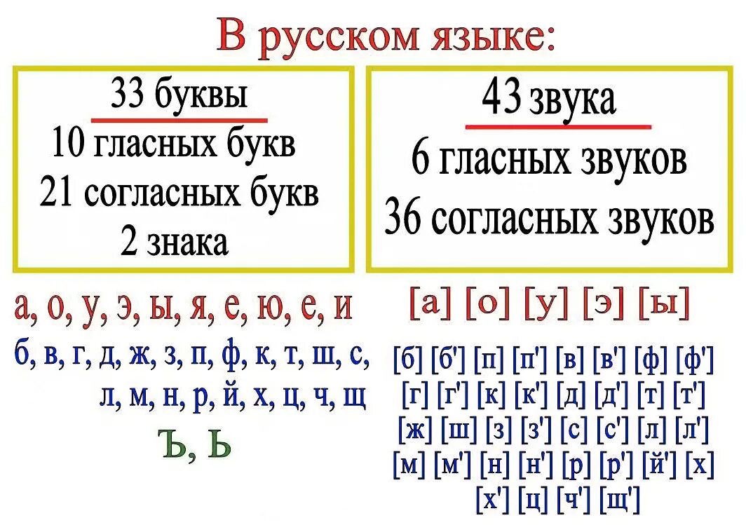 В русском языке 33 буквы и 42 звука. Сколько гласных и согласных звуков. Количество букв и звуков в русском языке. Сколько букв и сколько звуков в русском языке.