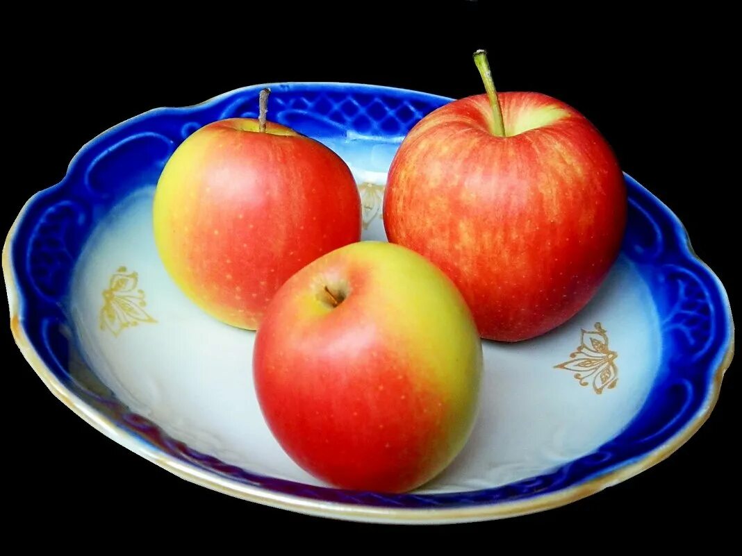 яблоко. волшебное яблоко. волшебные яблоки. волшебные яблоки. гуси-лебеди и яблоня.